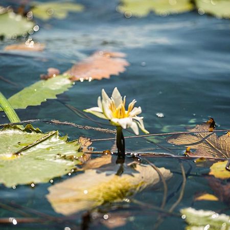 Casa Sol Y Luna Bacalar B&B 외부 사진